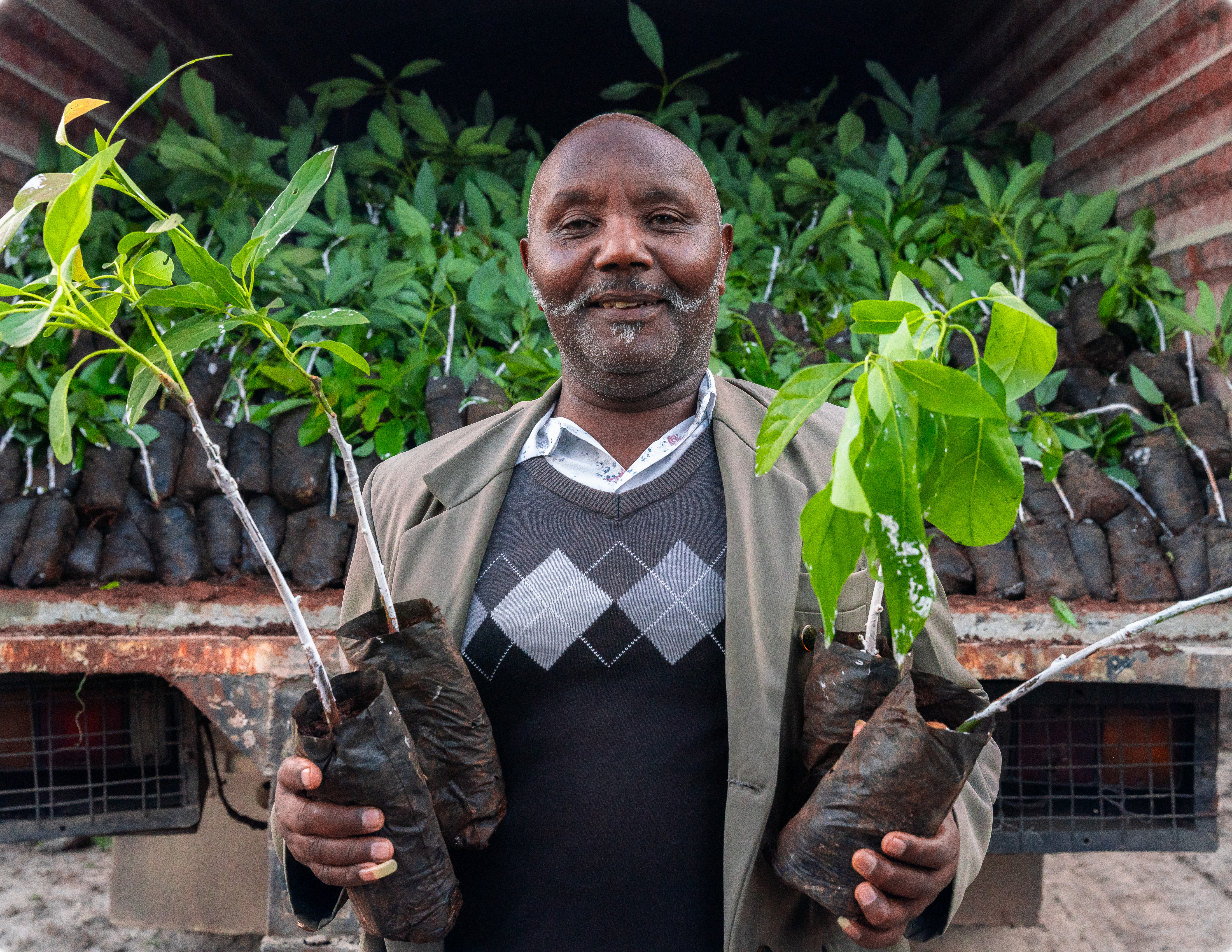 Community member holding newly distributed seedlings